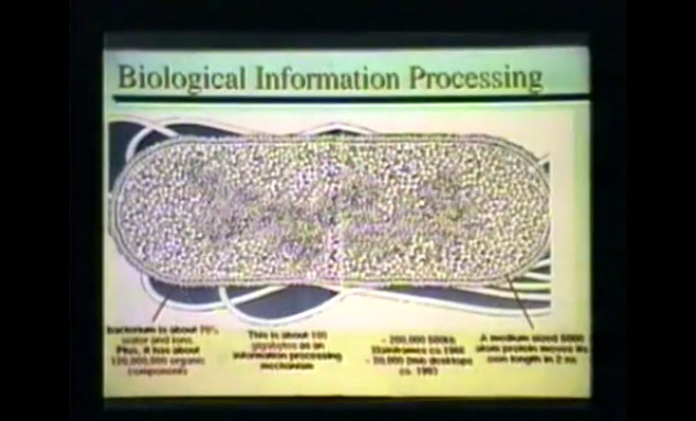 In an Ecoli bacteria, 120 million components of the total size of 120GB interact with each other in an informational way.
