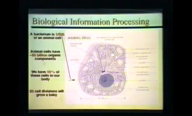 An Ecoli bacteria is 1/500th the size of cells in our bodies, which have 60 billion components and there are 10^12 or 10^13 cells in our body.