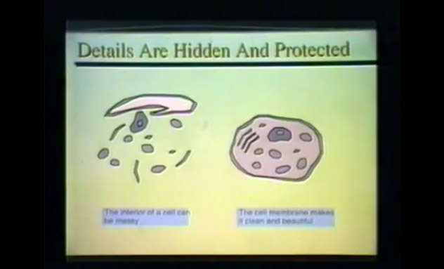 Comparing a cell to an object oriented system, the membrane is there to keep most things out as much as it's there to keep certain things in. (What does that mean?)